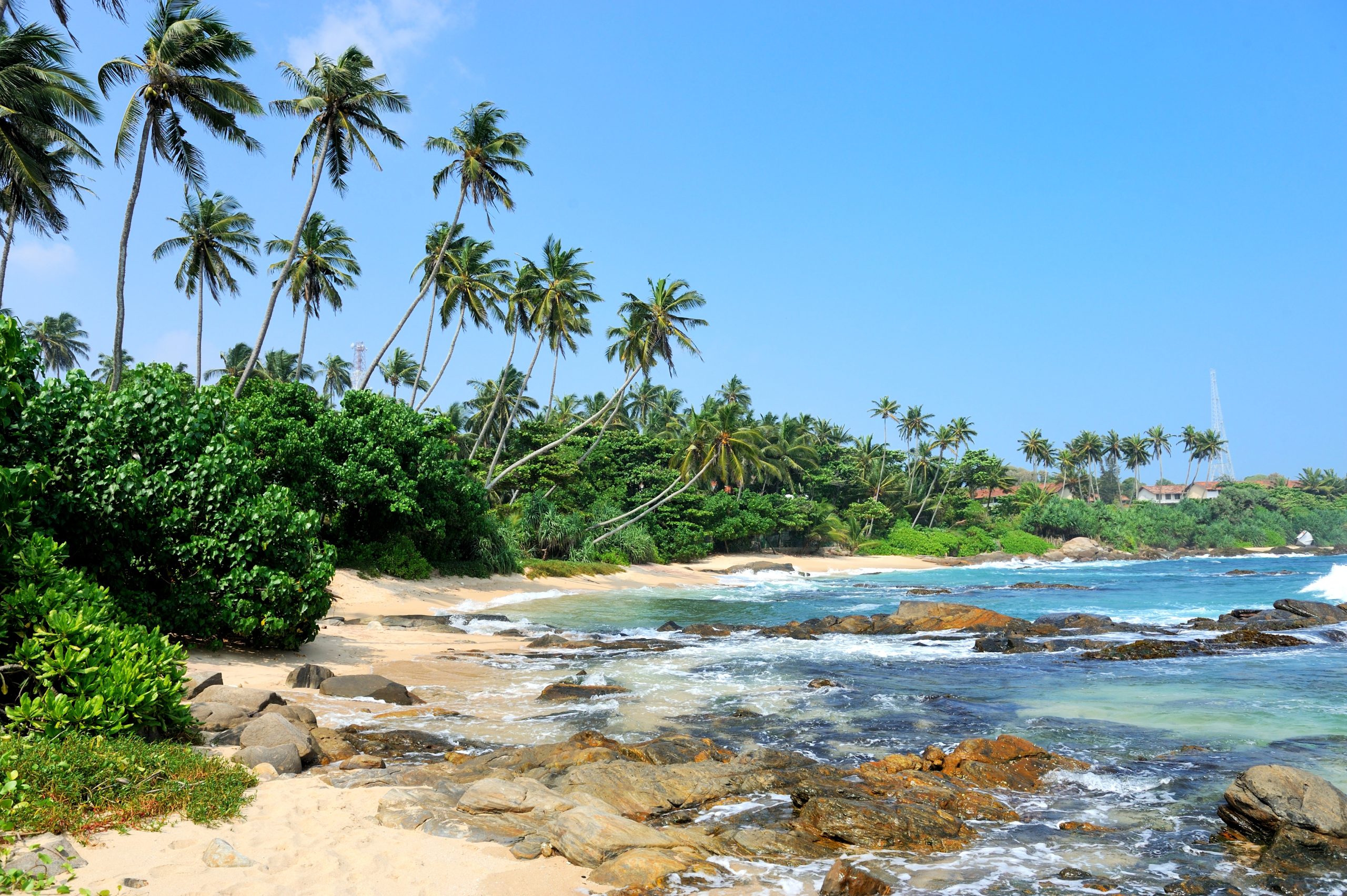 Tropical beach