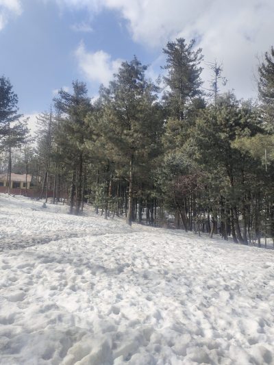 module:1facing:0; ?hw-remosaic: 0; ?touch: (-1.0, -1.0); ?modeInfo: ; ?sceneMode: Auto; ?cct_value: 0; ?AI_Scene: (3, -1); ?aec_lux: 0.0; ?hist255: 0.0; ?hist252~255: 0.0; ?hist0~15: 0.0; ?module:1facing:0;
hw-remosaic: 0;
touch: (-1.0, -1.0);
modeInfo: ;
sceneMode: Auto;
cct_value: 0;
AI_Scene: (3, -1);
aec_lux: 0.0;
hist255: 0.0;
hist252~255: 0.0;
hist0~15: 0.0;